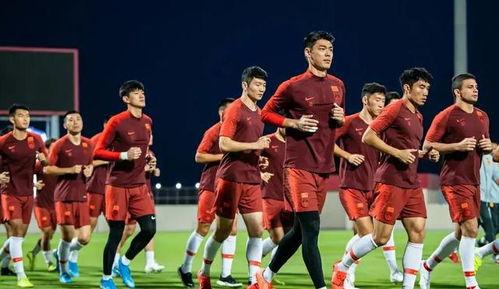 博主爆料国足视频大全下载,博主爆料视频大全下载攻略